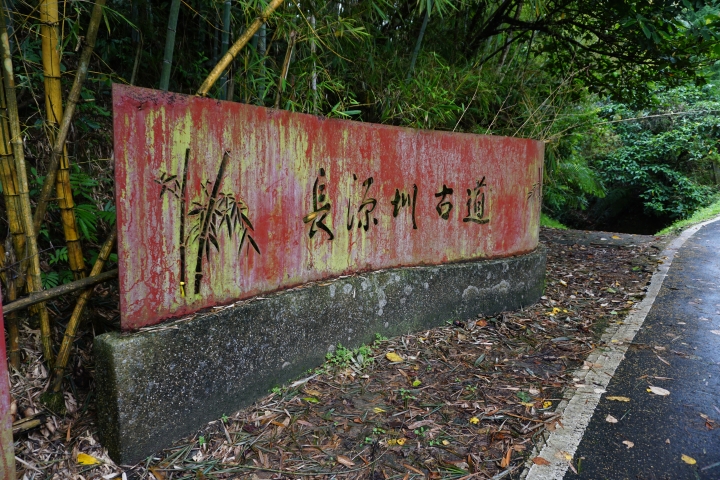 探訪長源圳古道，美麗的竹林景色！