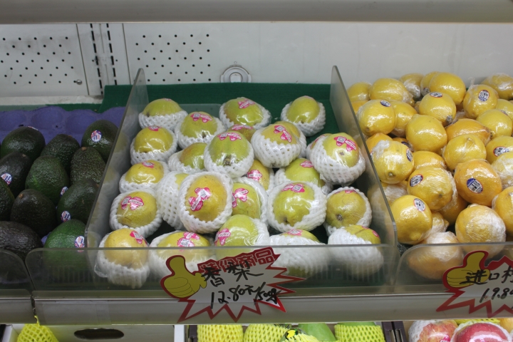 2016年初東北記行(自由行)