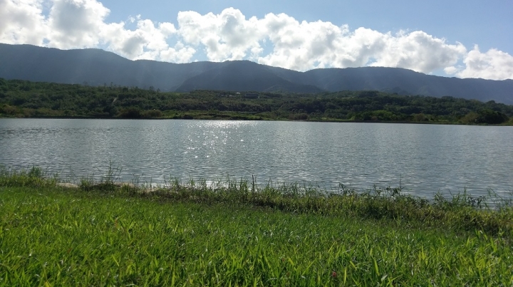 偽環島遊記(花蓮台南新化區)圖多
