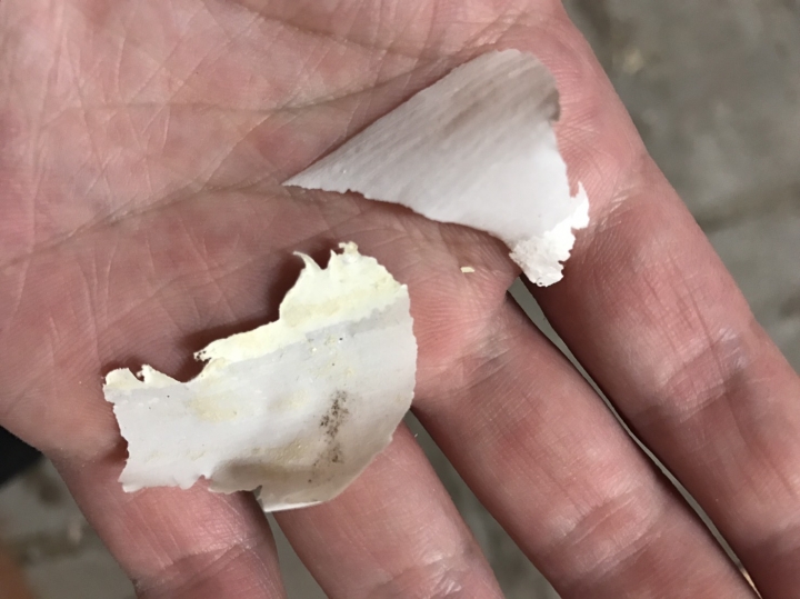 急急急！！！老房子重新油漆，需先磨除舊漆嗎？