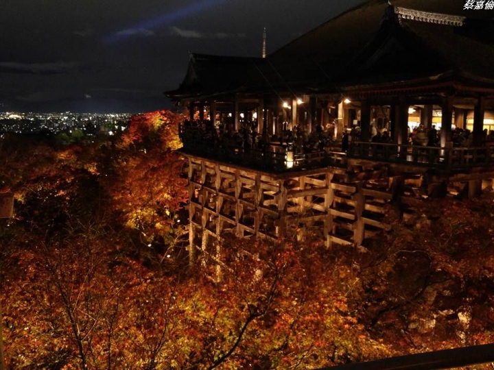 (第83批圖) LG G4 &G5&V10&v20 日夜拍研究團 精選作品2016.11.28