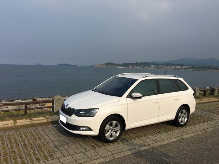 fiesta 1.0t 小白肥 草莓開箱文 接地線及換燈泡分享(以及fabia combi體驗)