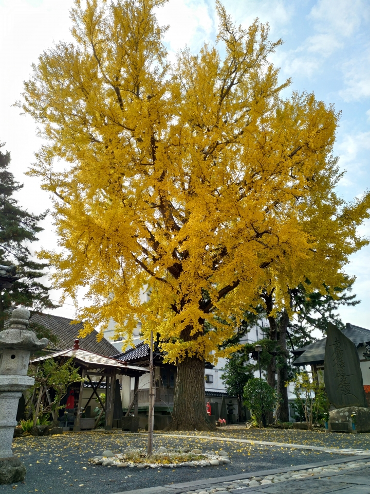 [心得] 11/12~15-石卷-lapras巢穴之旅