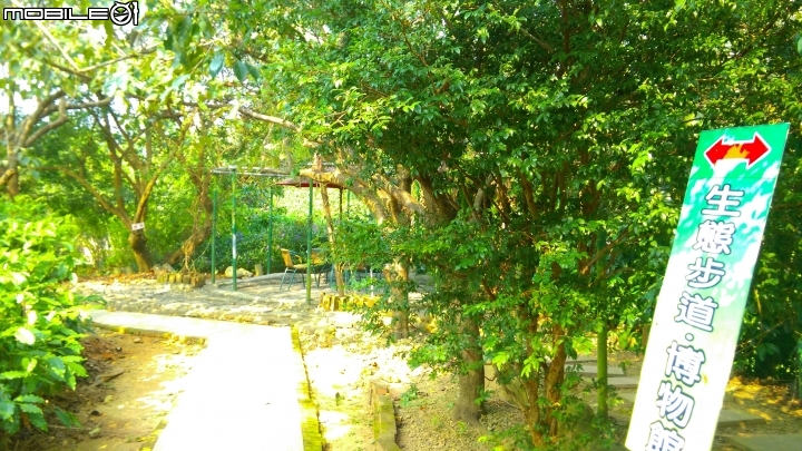 關西仙草博物館散步遊