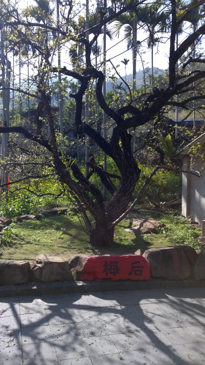 機車旅行-風櫃斗&柳家梅園