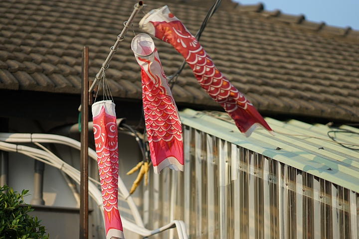 sony a99+135za+16-35za露琦和食