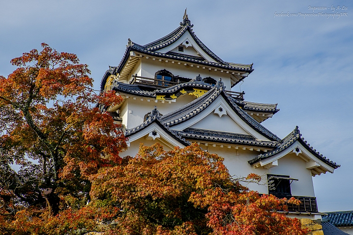 【京都楓．景】 琵琶湖篇  (X-T1)