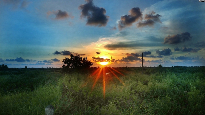 (第83批圖) LG G4 &G5&V10&v20 日夜拍研究團 精選作品2016.11.28