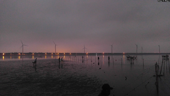 (第81批圖) LG G4 &G5&V10&v20 日夜拍研究團 精選作品2016.11.14