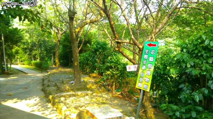 關西仙草博物館散步遊