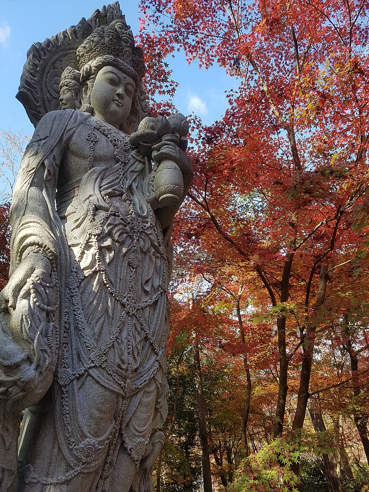 三星 S7 秋遊 日本 關西 實拍分享