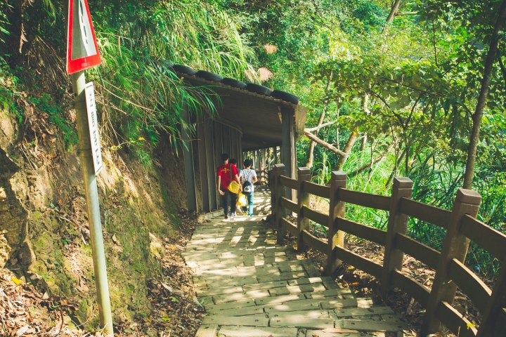 太極峽谷 梯子吊橋之旅