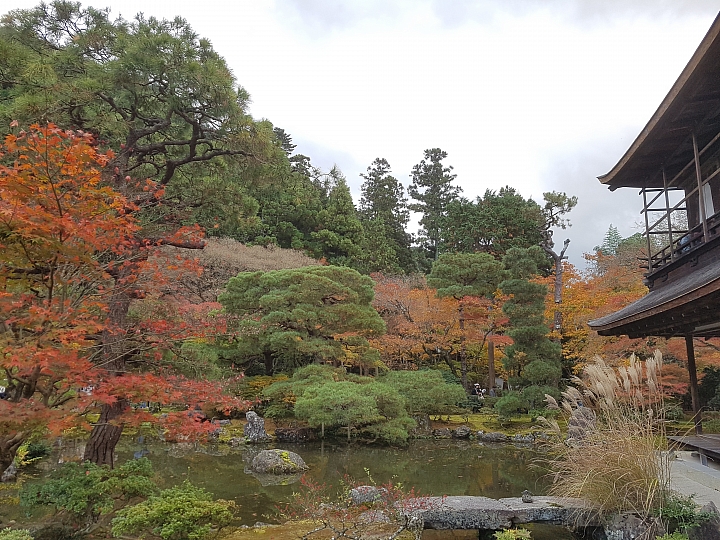 三星 S7 秋遊 日本 關西 實拍分享