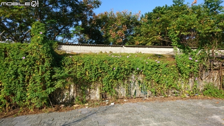 Sony Xperia XZ手機 試用