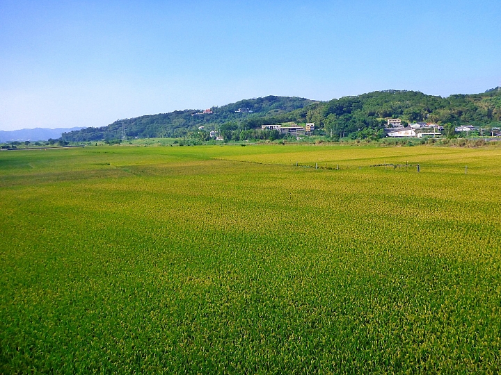 騎遊苗栗：探訪銅鑼灣隧道
