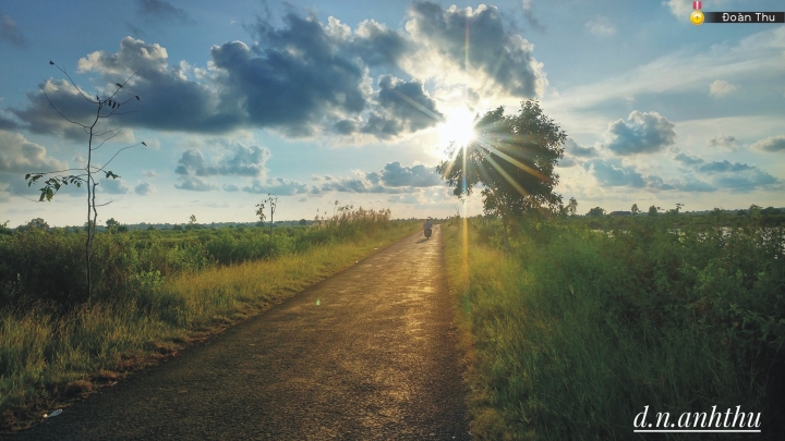 (第83批圖) LG G4 &G5&V10&v20 日夜拍研究團 精選作品2016.11.28