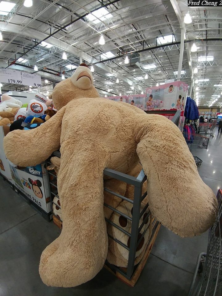 (第81批圖) LG G4 &G5&V10&v20 日夜拍研究團 精選作品2016.11.14