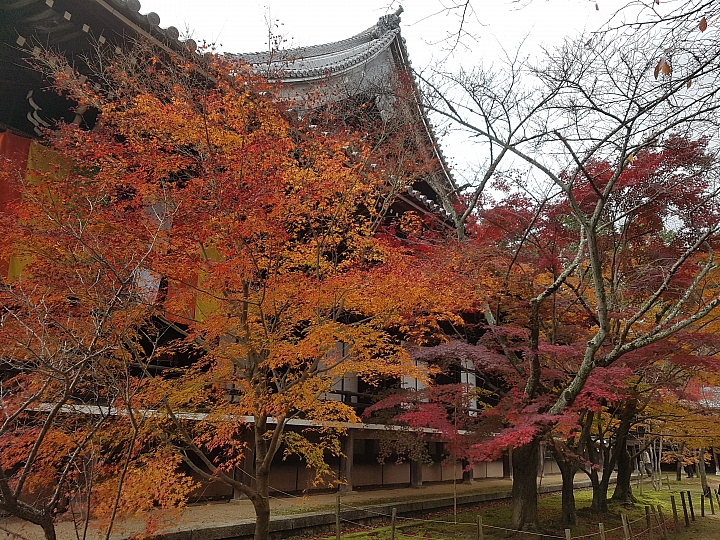 三星 S7 秋遊 日本 關西 實拍分享