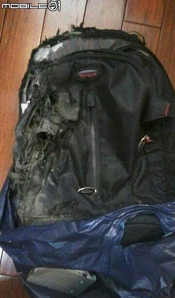 現在才知道大黑的強壯