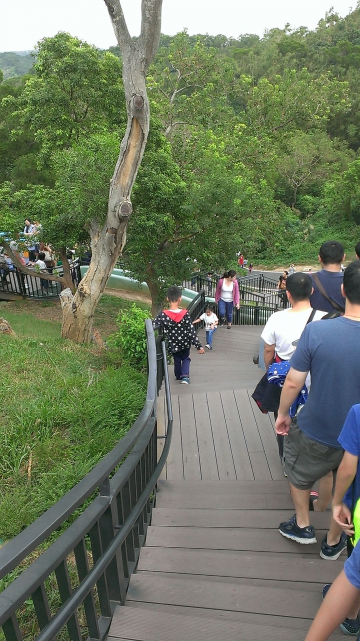 新竹市~青青草原溜滑梯~健行~半日遊~