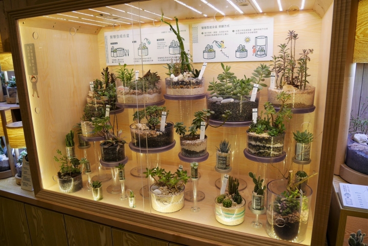 【台北華山文創園區 | 展覽】結合多種療癒展品與互動遊戲區的「Wooderful Life手創生活體驗展」