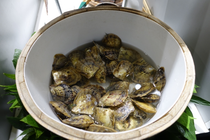 (胖樺遊記)舊金山San Francisco自由行DAY1景點交通美食攻略/Super Duper漢堡/Blue bottle藍瓶子咖啡/Crab House海鮮/Pier漁人碼頭/MUNI/BART/美西11日遊