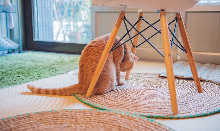 [高雄] 草DORO 隱藏巷弄內的日式抹茶專門