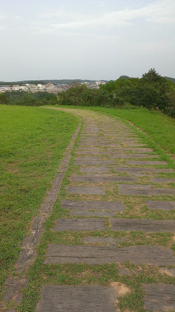 新竹市~青青草原溜滑梯~健行~半日遊~