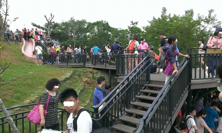 新竹市~青青草原溜滑梯~健行~半日遊~