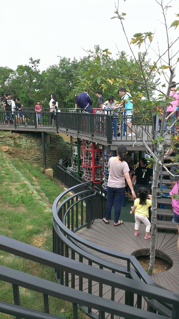 新竹市~青青草原溜滑梯~健行~半日遊~