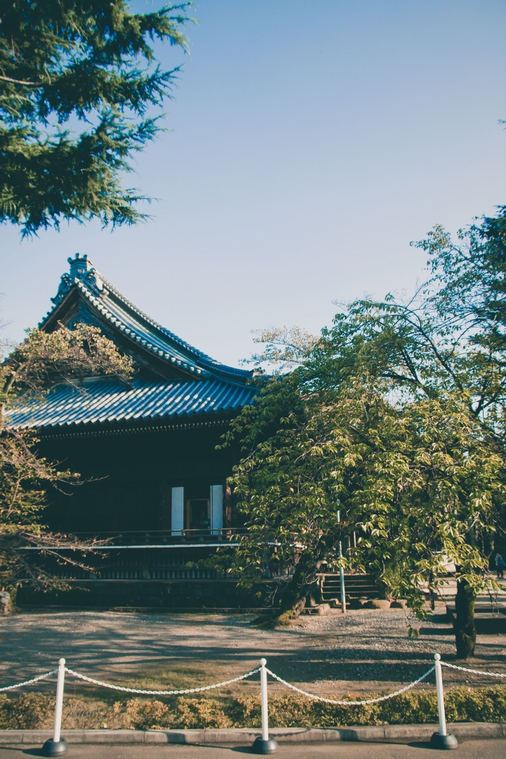 【景點。遊記】東京 鶯谷 情色從業員的日與夜 小吃 餐廳 飲食 古蹟
