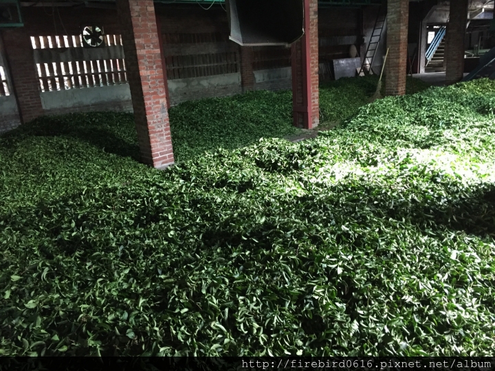 [桃園龍潭]正港的觀光工廠--夜景聖地乳姑山腳下的福源茶廠(茶裡王供應商，吃完大江屋後可來逛逛）