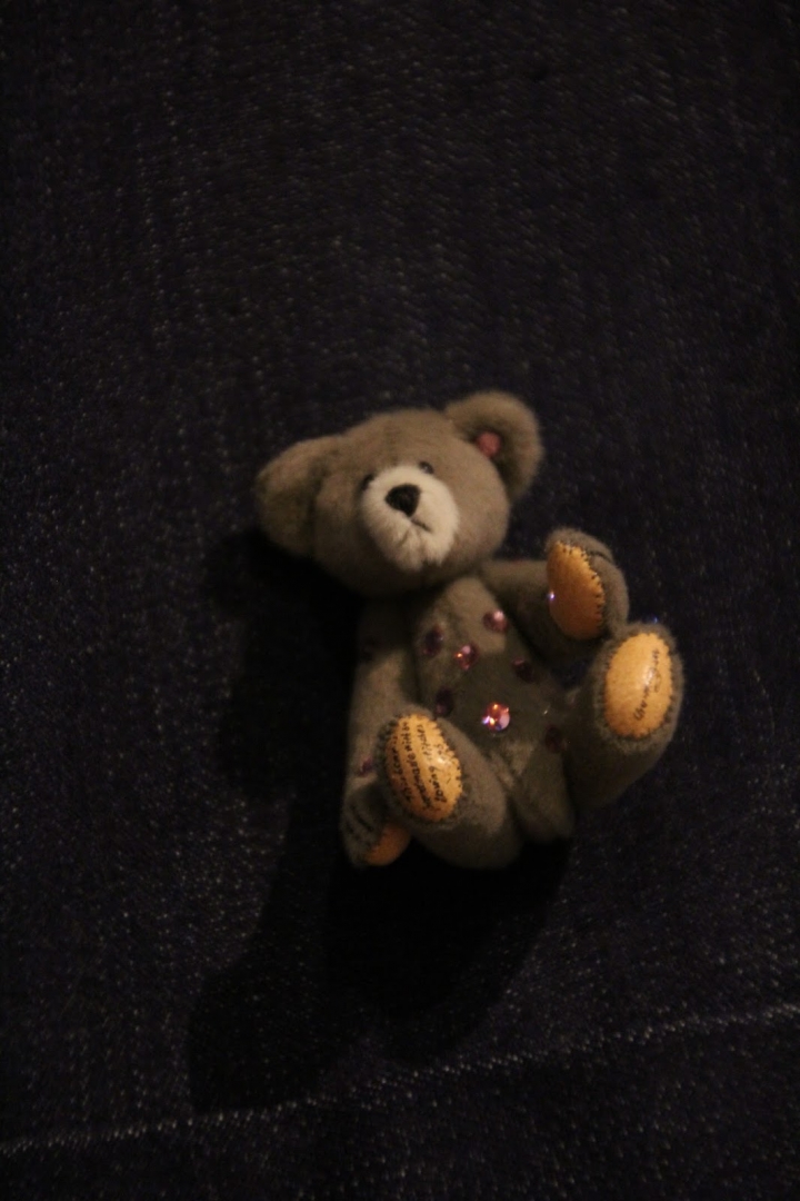 (VR) 大手牽小手，一起去走走～新竹～小熊博物館～