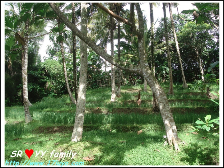 [峇里島自由行]巴里島 Bali求婚+過生日之烏布區Ubud-卡加尼莫別墅飯店 (Kajane Mua Villas) 也適合蜜月度假