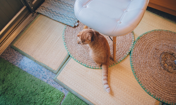 [高雄] 草DORO 隱藏巷弄內的日式抹茶專門