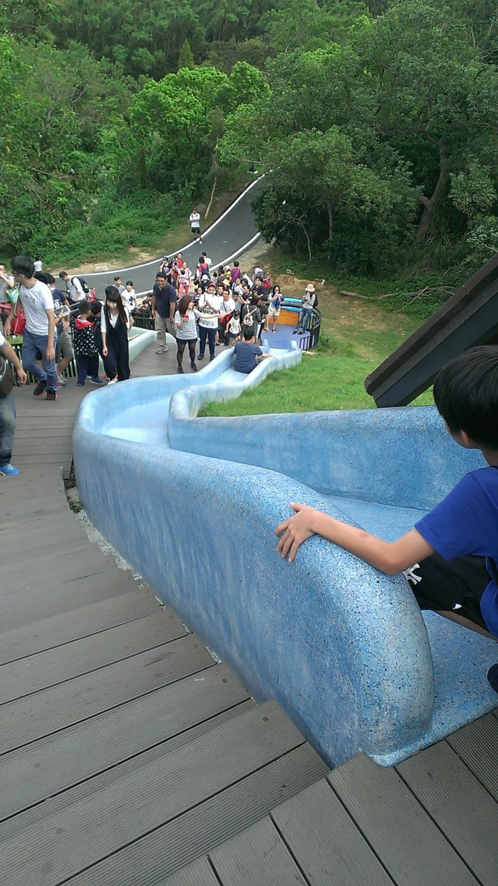 新竹市~青青草原溜滑梯~健行~半日遊~