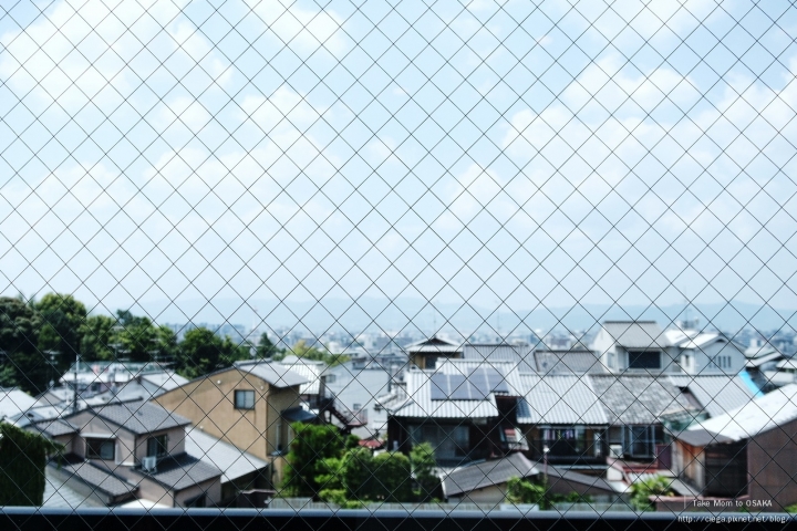 京都料理│清水 順正 おかべ家【拖著媽媽去關西】│清水寺前的巷弄京料理名店，自己在鍋裡現撈豆皮，多種精緻豆腐料理獲得媽媽稱讚