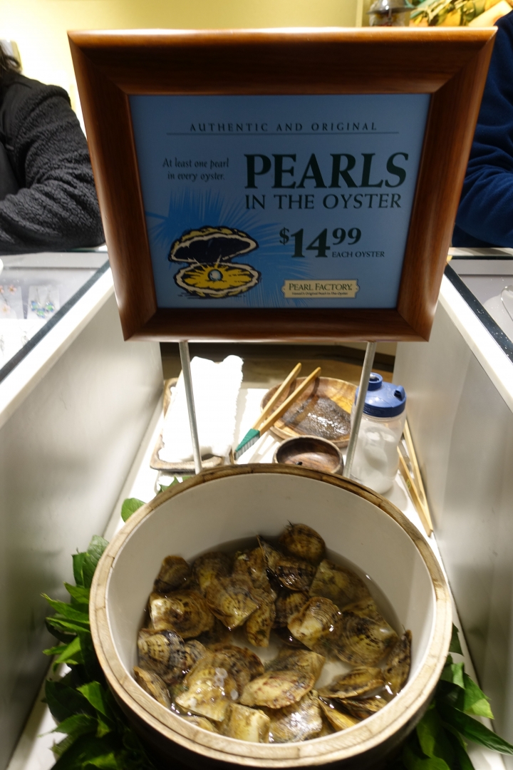 (胖樺遊記)舊金山San Francisco自由行DAY1景點交通美食攻略/Super Duper漢堡/Blue bottle藍瓶子咖啡/Crab House海鮮/Pier漁人碼頭/MUNI/BART/美西11日遊