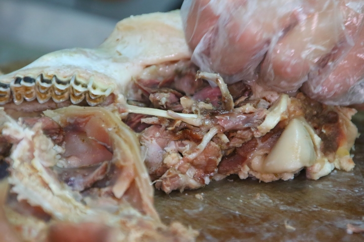 [台南][中西] 鑫味羊肉湯~清燙溫體羊就是鮮美
