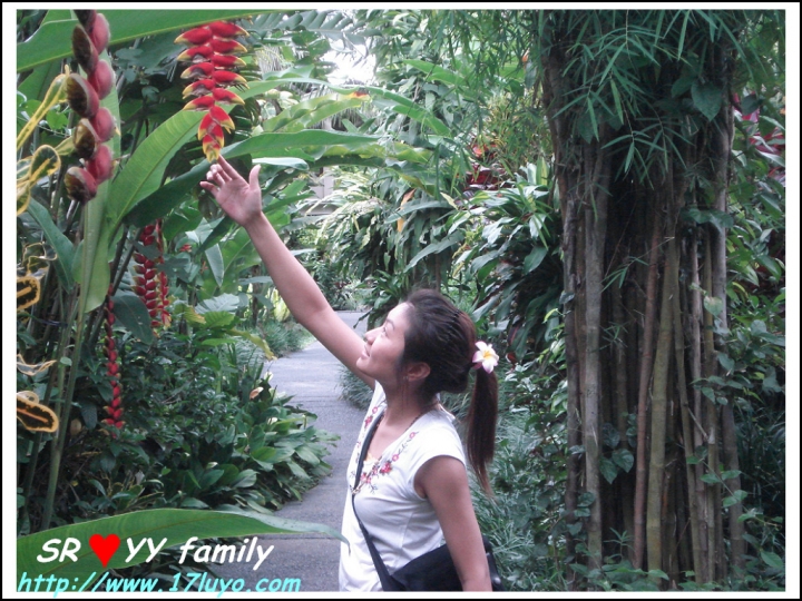 [峇里島自由行]巴里島 Bali求婚+過生日之烏布區Ubud-卡加尼莫別墅飯店 (Kajane Mua Villas) 也適合蜜月度假