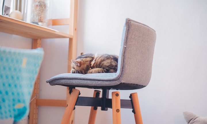 [高雄] 草DORO 隱藏巷弄內的日式抹茶專門