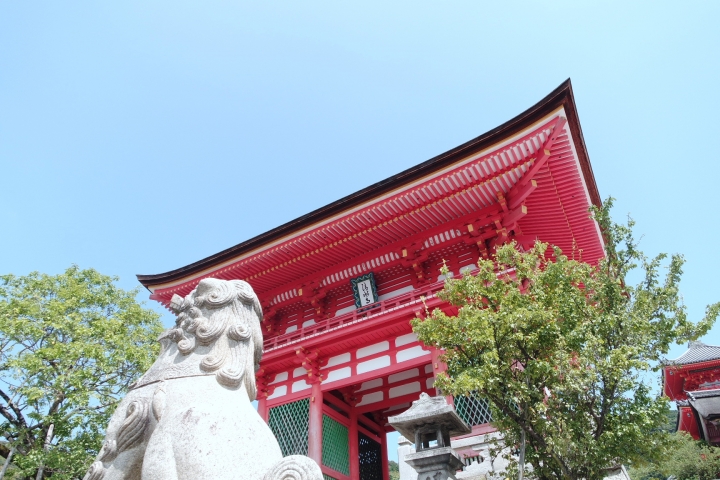 關西自由行│2016大阪京都奈良行程安排【拖著媽媽去關西】│孝親之旅帶著輕鬆卻又深入的步調，行程規畫及私房景點與美食整理