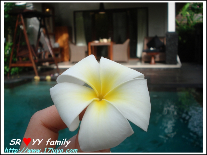 [峇里島自由行]巴里島 Bali求婚+過生日之烏布區Ubud-卡加尼莫別墅飯店 (Kajane Mua Villas) 也適合蜜月度假