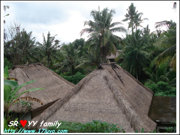[峇里島自由行]巴里島 Bali求婚+過生日之烏布區Ubud-卡加尼莫別墅飯店 (Kajane Mua Villas) 也適合蜜月度假