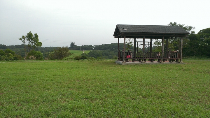新竹市~青青草原溜滑梯~健行~半日遊~