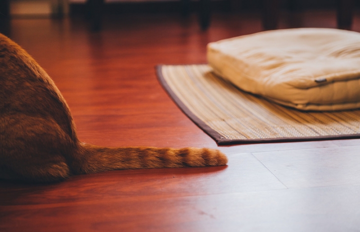 [高雄] 草DORO 隱藏巷弄內的日式抹茶專門