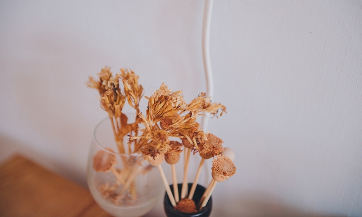 [高雄] 草DORO 隱藏巷弄內的日式抹茶專門