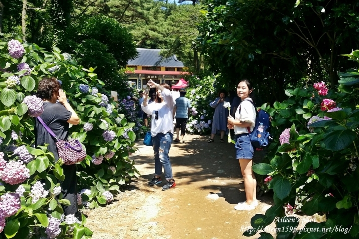 [釜山] 跟爸爸去旅行之釜山斷腿之旅,行程規劃(懶人包)