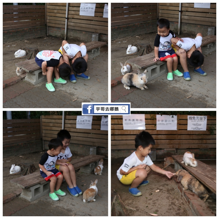 【宇哥去新竹】竹北的Go Bear溝貝親子休閒農莊,可釣蝦/釣魚/釣青蛙/餵兔子/滑草/玩沙坑/撈金魚/玩桌遊/烤肉/秤斤計價好適合小朋友