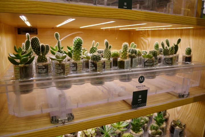 【台北華山文創園區 | 展覽】結合多種療癒展品與互動遊戲區的「Wooderful Life手創生活體驗展」